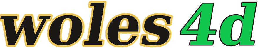 woles4d logo